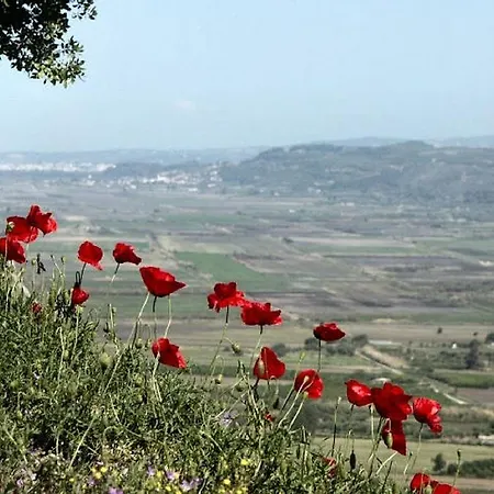 Thea 别墅 Kato Samikon