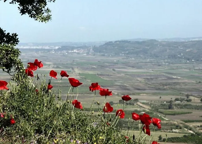 Thea Villa Kato Samikon